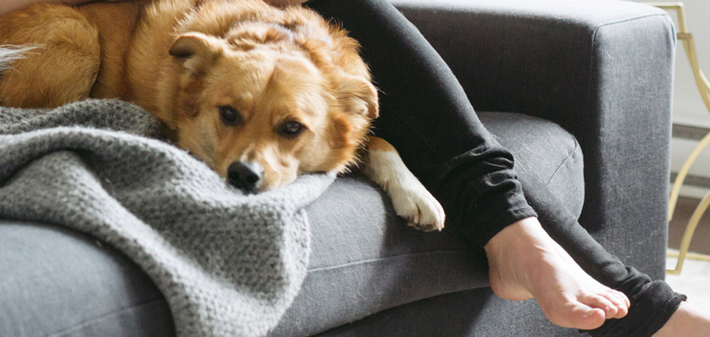 Woman sitting on a couch, holding a cup of tea, with a dog in her lap