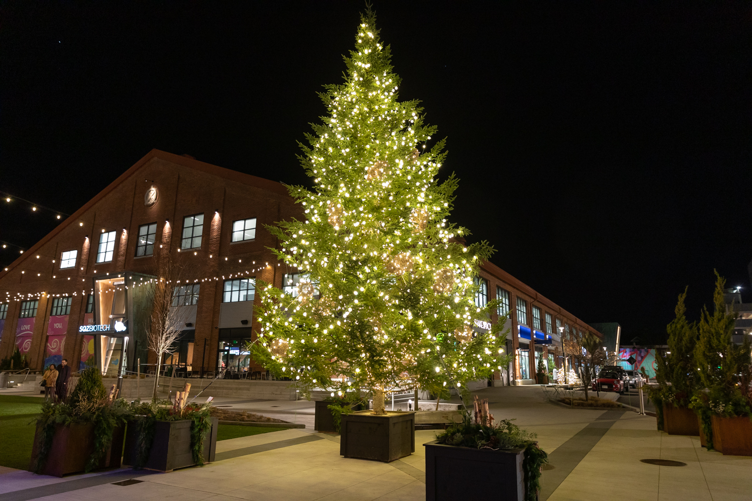 Black FridAY Celebration + Gift Drive