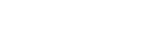 Roche Bros. Logo