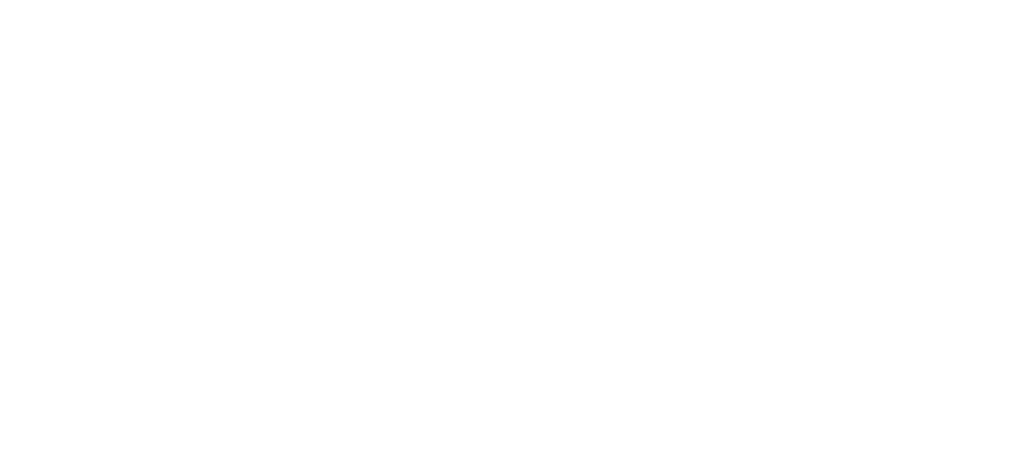 Roche Bros. Logo