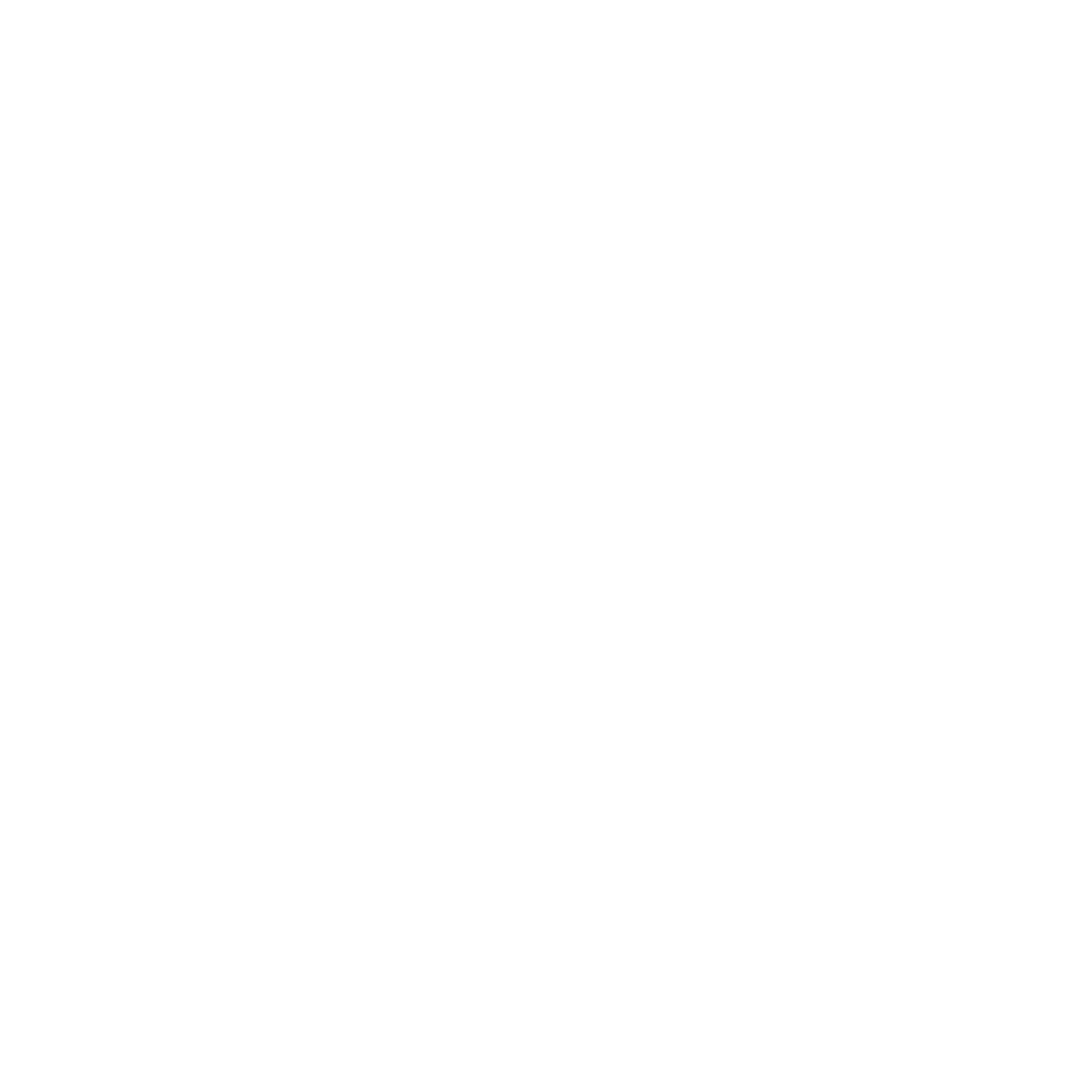 Skin Laundry Logo