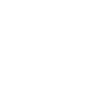 The Home Depot Logo